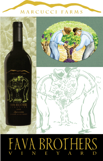 marcucci branding image